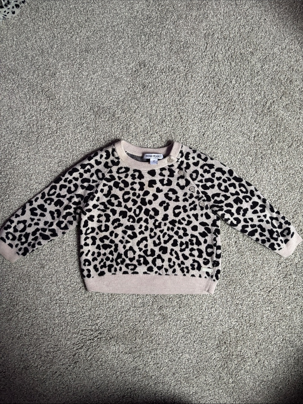 Posh Peanut Cream and Black Leopard Knit Sweater